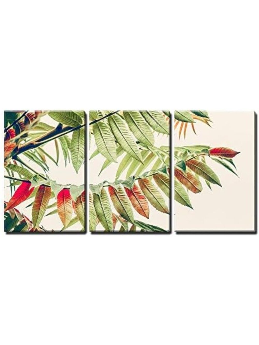 3 Piece Canvas Wall Art Set - Tropical Green Red Leaves, Modern Home Decor